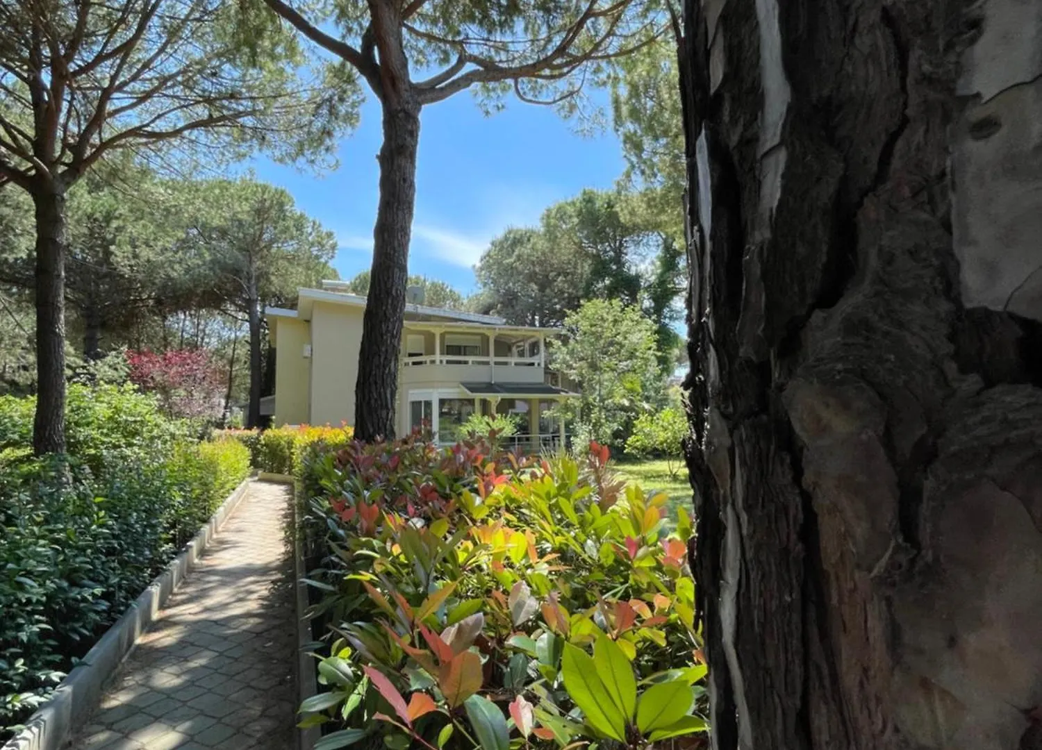 Lalez Azure Villa - 3 Bedrooms Plazhi San Pietro